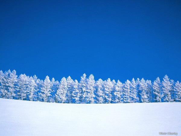 50 Blue Backgrounds for Your Inspiration
