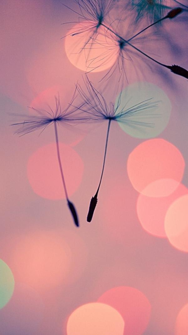 50+ Examples of iPhone wallpaper