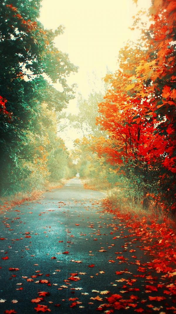 50+ Examples of iPhone wallpaper