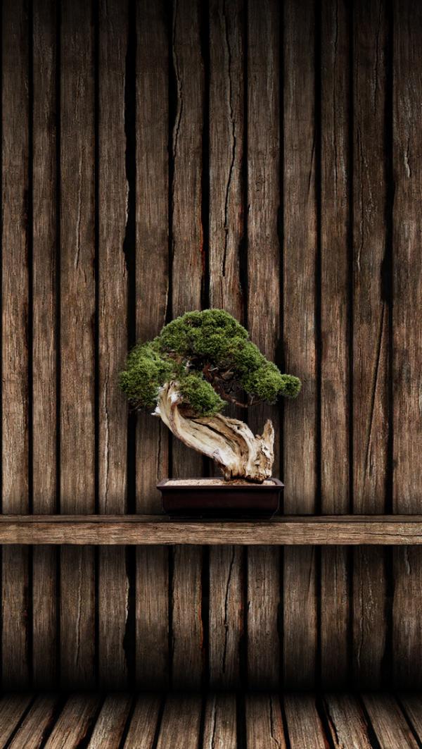 50+ Examples of iPhone wallpaper
