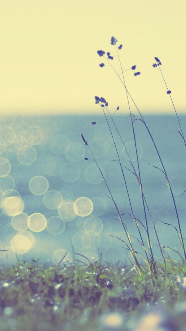 50+ Examples of iPhone wallpaper