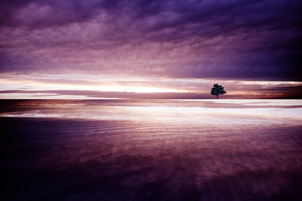 45 Purple Background Images