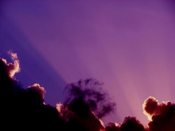 45 Purple Background Images
