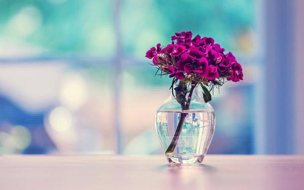45 Purple Background Images