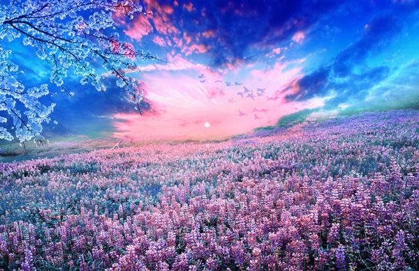 45 Purple Background Images