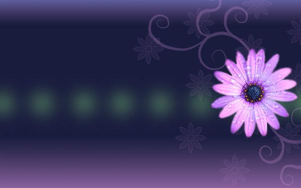 45 Purple Background Images