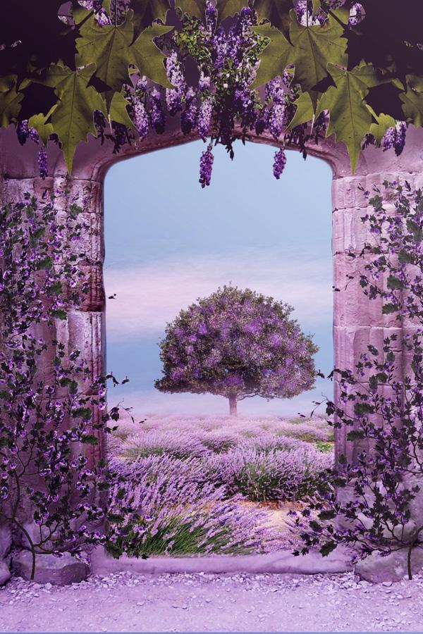 45 Purple Background Images