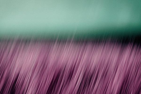 45 Purple Background Images