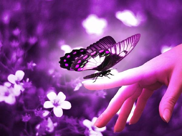 45 Purple Background Images