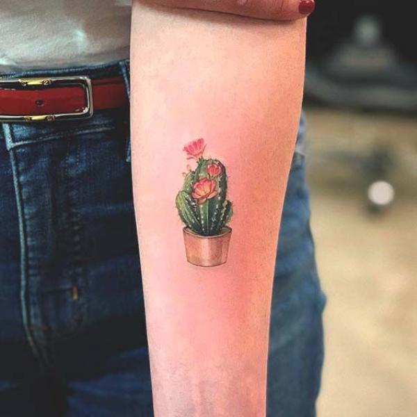 45 Cactus tattoos: Meanings and Designs