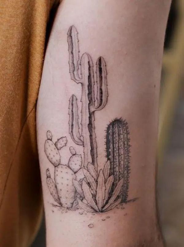 45 Cactus tattoos: Meanings and Designs