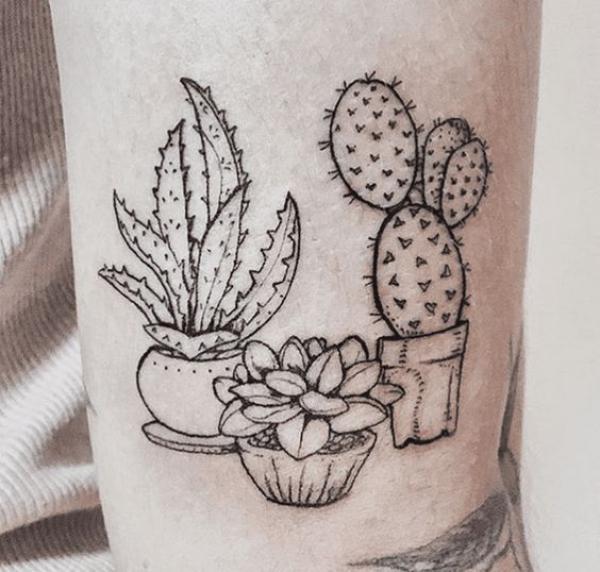 45 Cactus tattoos: Meanings and Designs