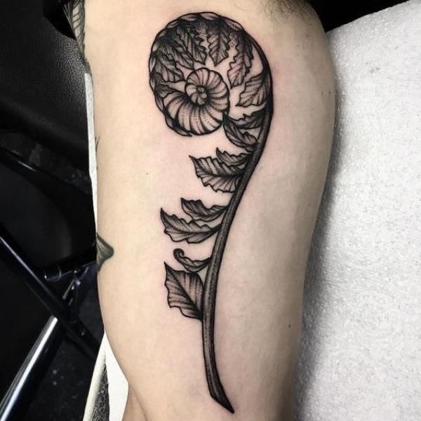 50 Fern Tattoo Designs with Meaning