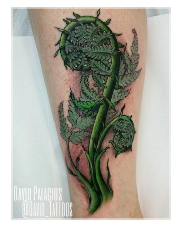 50 Fern Tattoo Designs with Meaning