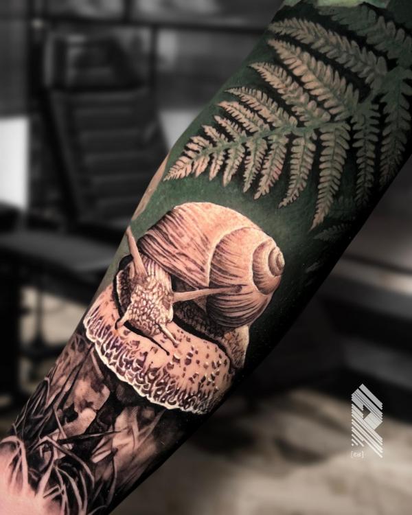 50 Fern Tattoo Designs with Meaning