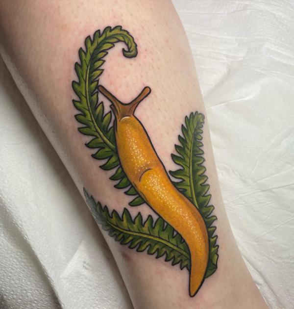 50 Fern Tattoo Designs with Meaning