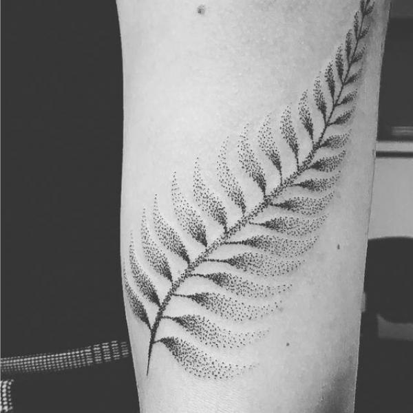 50 Fern Tattoo Designs with Meaning