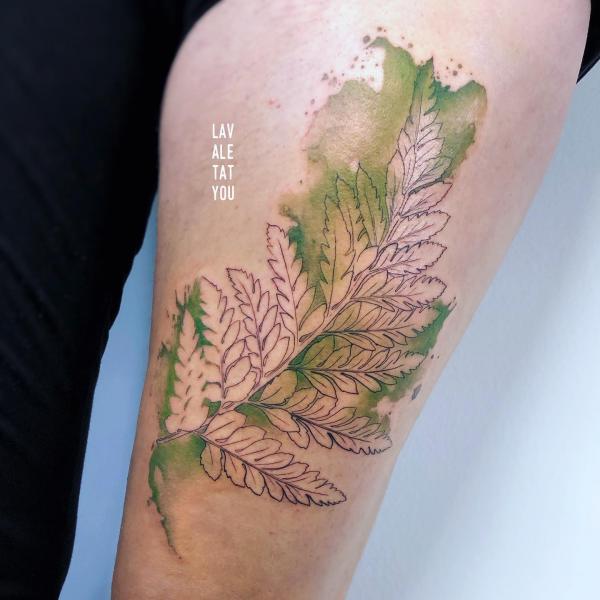 50 Fern Tattoo Designs with Meaning