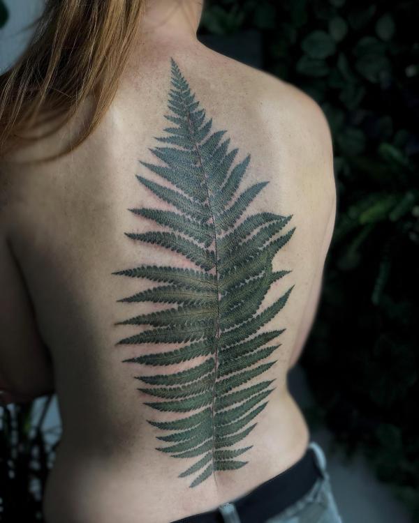 50 Fern Tattoo Designs with Meaning
