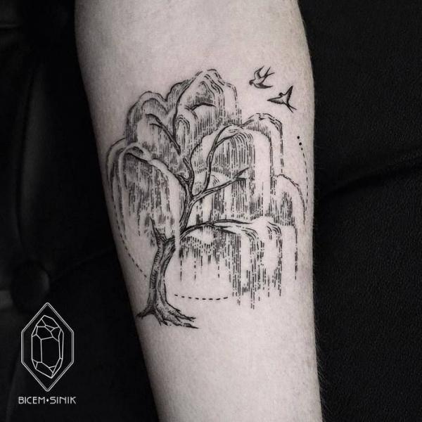 50 Willow Tattoo Ideas: Meaning and Designs