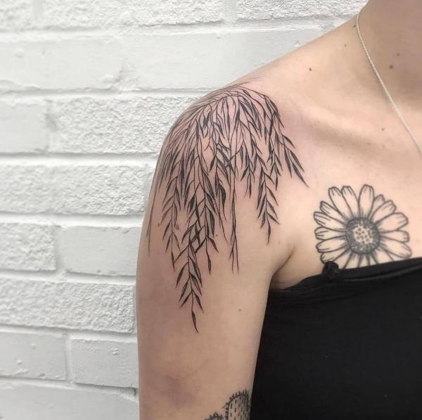 50 Willow Tattoo Ideas: Meaning and Designs
