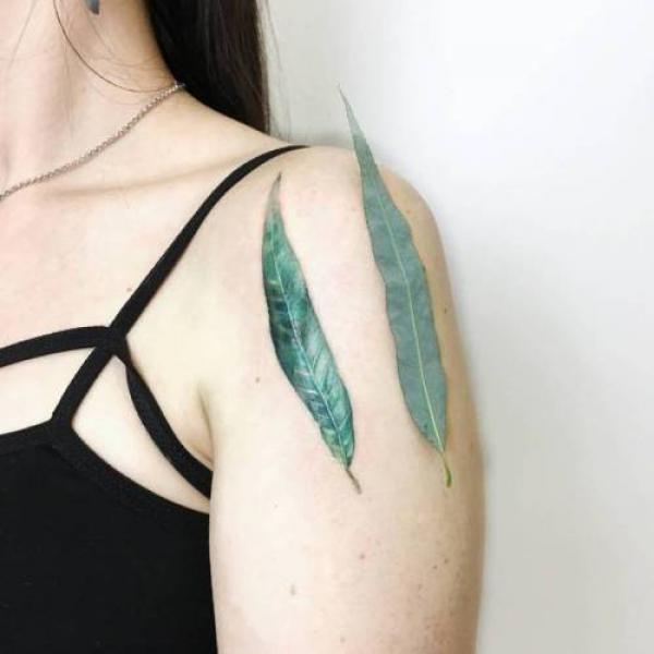 50 Willow Tattoo Ideas: Meaning and Designs
