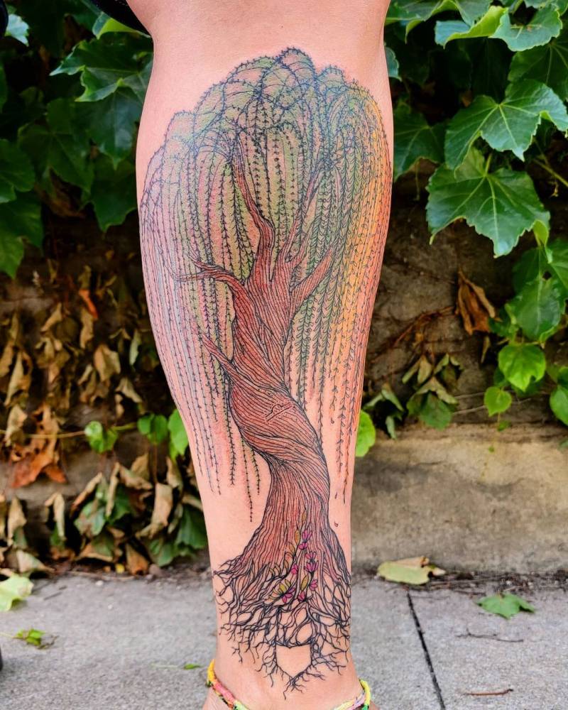 50 Willow Tattoo Ideas: Meaning and Designs