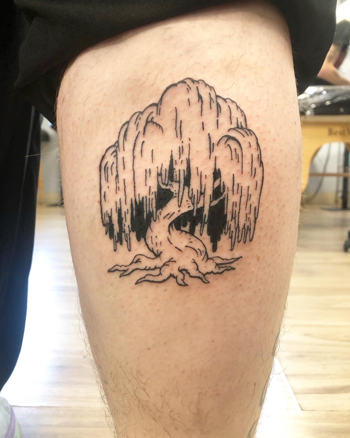50 Willow Tattoo Ideas: Meaning and Designs