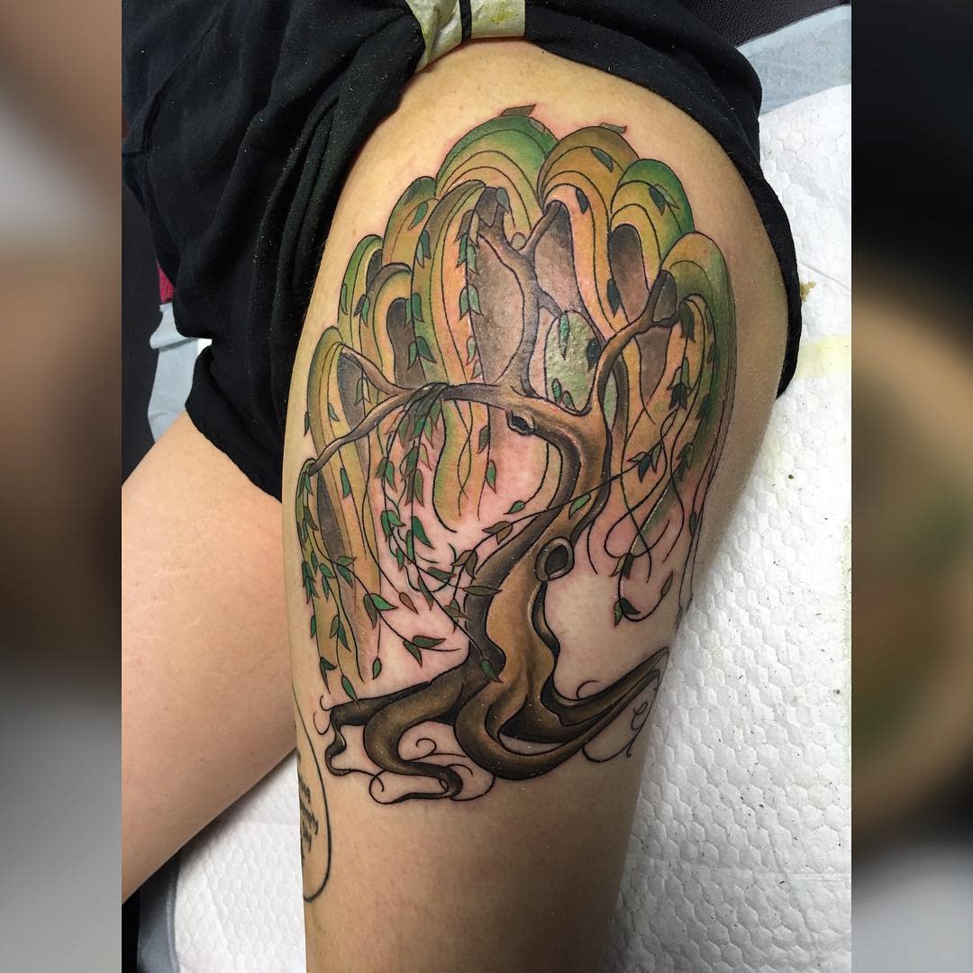 50 Willow Tattoo Ideas: Meaning and Designs