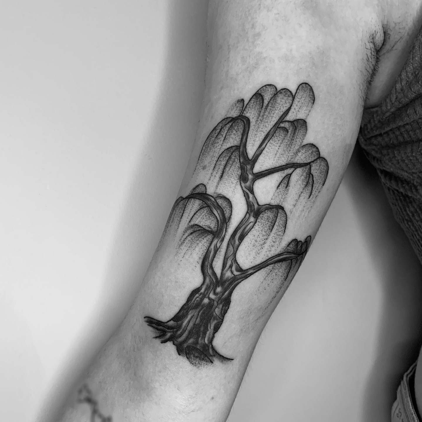 50 Willow Tattoo Ideas: Meaning and Designs