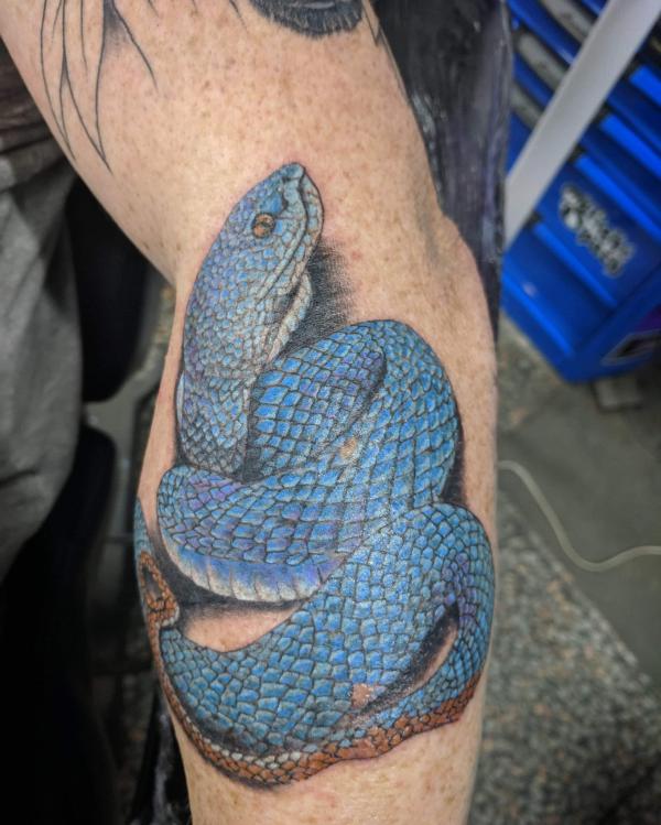 40 Intriguing Snake Forearm Tattoo Design Ideas