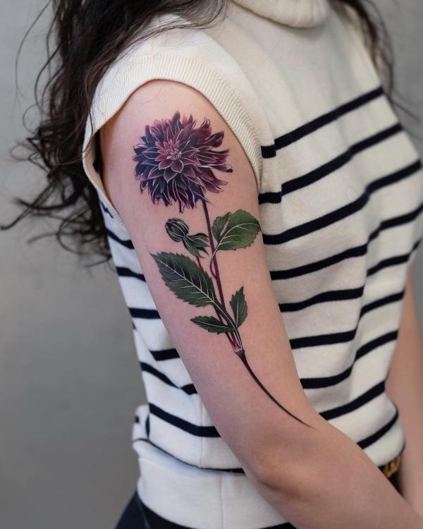 70 Colorful Dahlia Tattoo Designs with Meanings