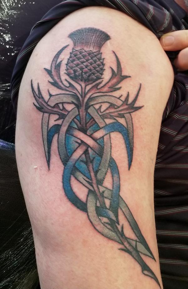 100 Thistle Tattoo Designs with Meaning