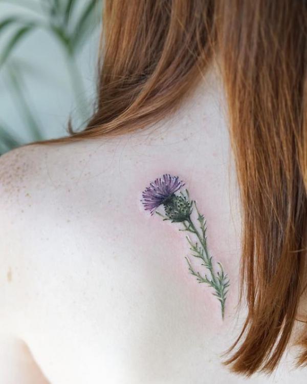 100 Thistle Tattoo Designs with Meaning
