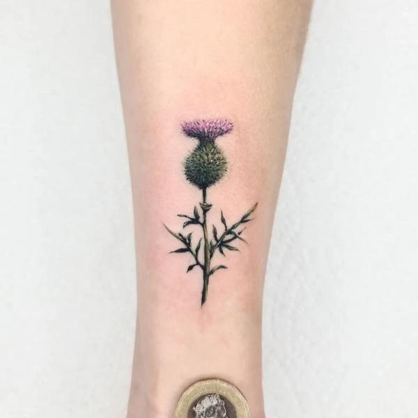 100 Thistle Tattoo Designs with Meaning