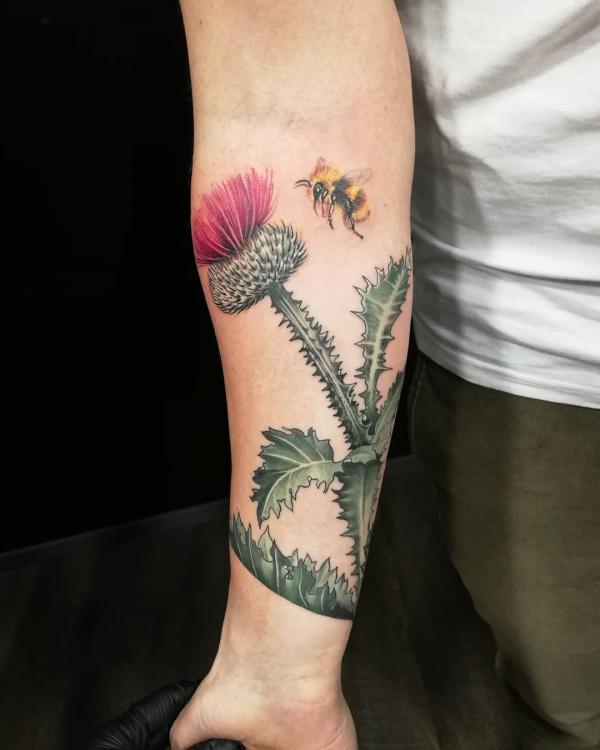 100 Thistle Tattoo Designs with Meaning
