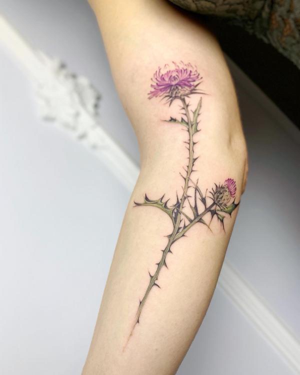 100 Thistle Tattoo Designs with Meaning