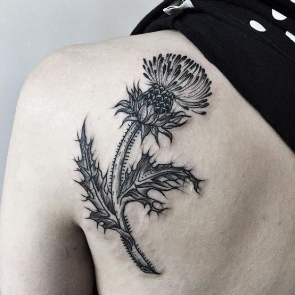 100 Thistle Tattoo Designs with Meaning