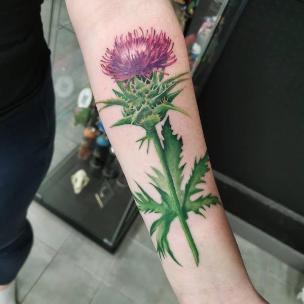 100 Thistle Tattoo Designs with Meaning