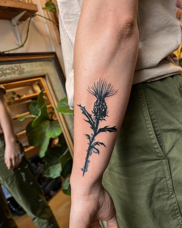 100 Thistle Tattoo Designs with Meaning