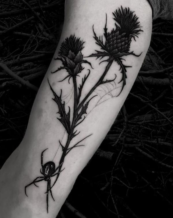 100 Thistle Tattoo Designs with Meaning