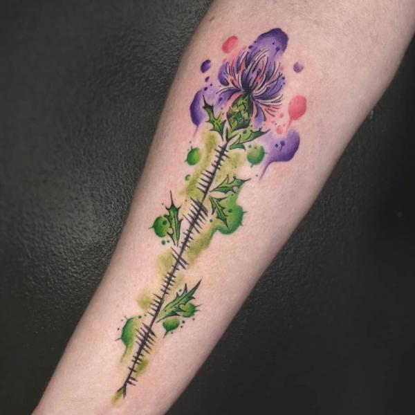 100 Thistle Tattoo Designs with Meaning