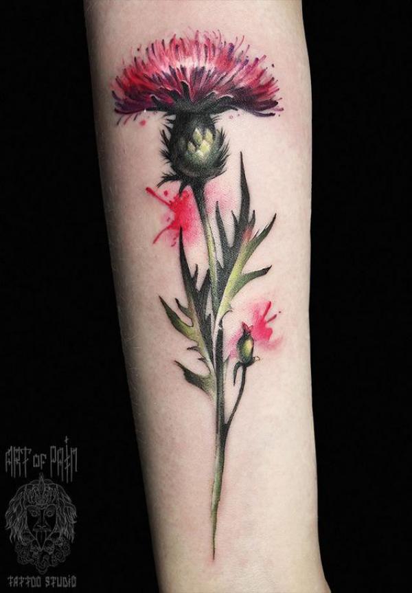 100 Thistle Tattoo Designs with Meaning