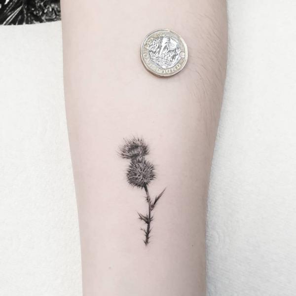 100 Thistle Tattoo Designs with Meaning