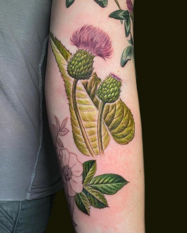 100 Thistle Tattoo Designs with Meaning