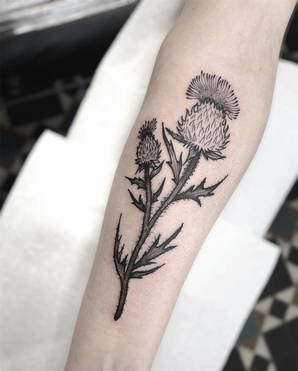 100 Thistle Tattoo Designs with Meaning