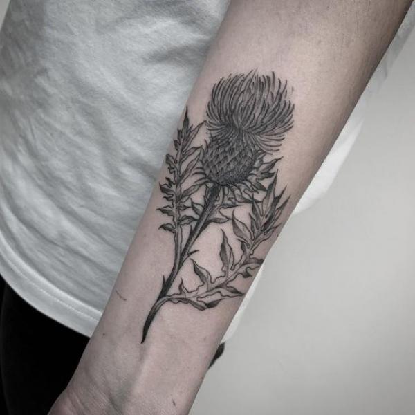 100 Thistle Tattoo Designs with Meaning