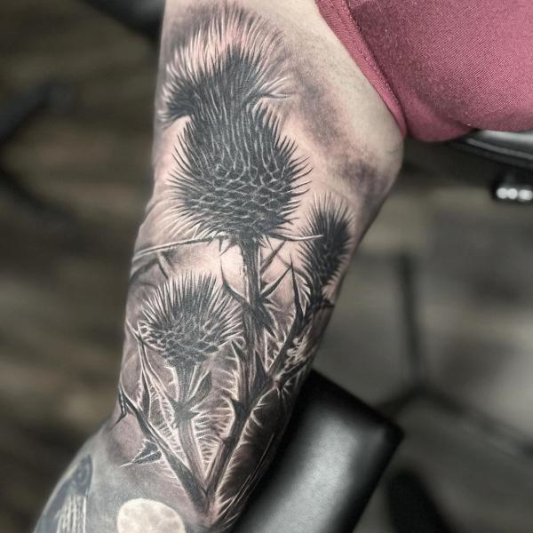 100 Thistle Tattoo Designs with Meaning