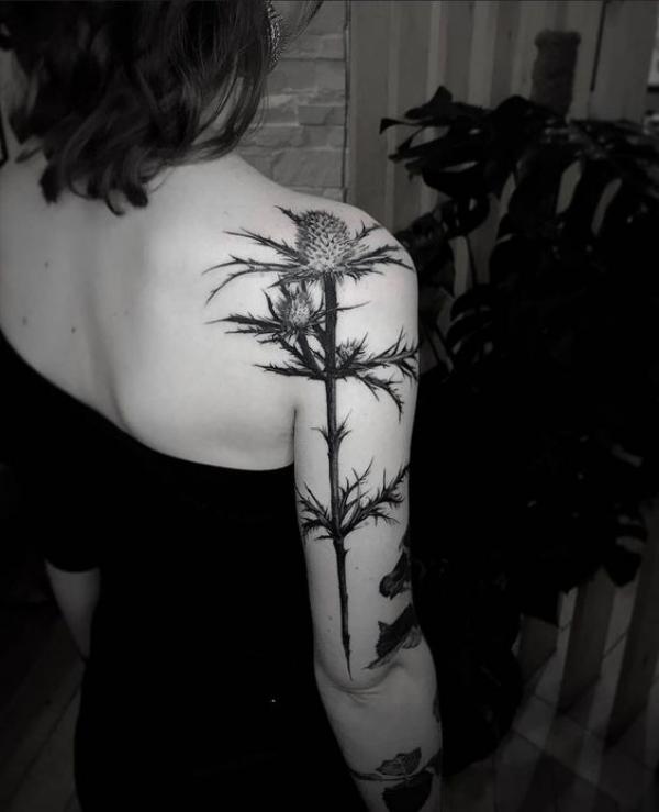 100 Thistle Tattoo Designs with Meaning