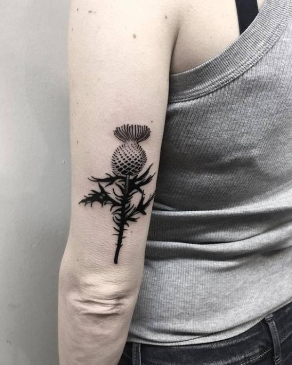 100 Thistle Tattoo Designs with Meaning